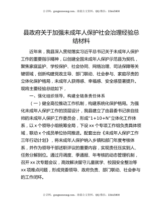 县政府关于加强未成年人保护社会治理经验总结材料