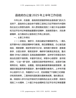 县政府办公室2025年上半年工作总结