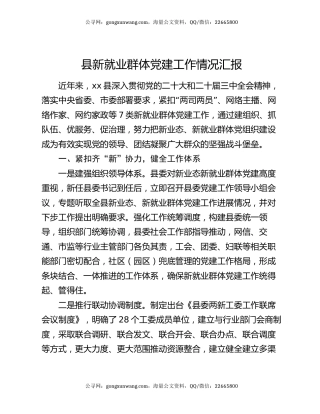 县新就业群体党建工作情况汇报