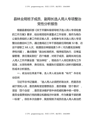 县林业局班子成员、副局长选人用人专项整治党性分析报告