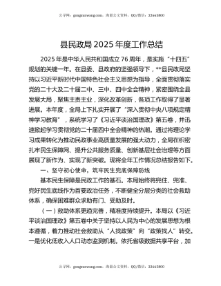 县民政局2025年度工作总结
