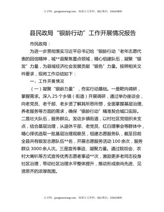 县民政局“银龄行动”工作开展情况报告