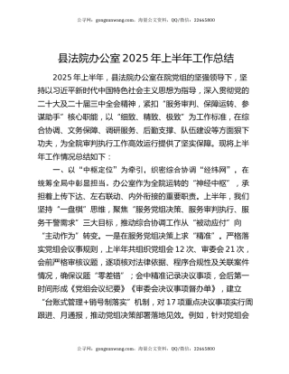 县法院办公室2025年上半年工作总结