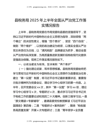 县税务局2025年上半年全面从严治党工作落实情况报告