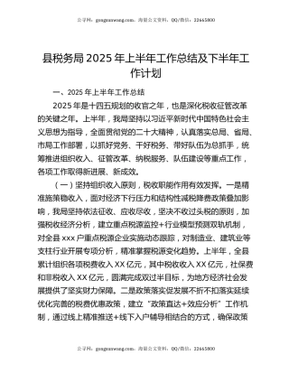 县税务局2025年上半年工作总结及下半年工作计划