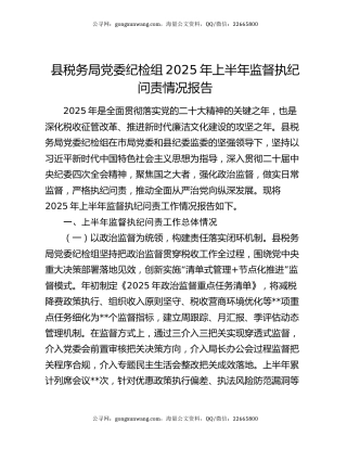 县税务局党委纪检组2025年上半年监督执纪问责情况报告