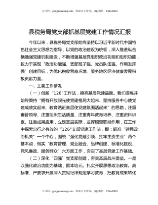 县税务局党支部抓基层党建工作情况汇报
