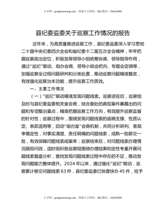 县纪委监委关于巡察工作情况的报告