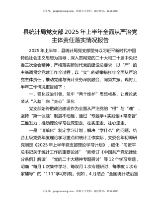 县统计局党支部2025年上半年全面从严治党主体责任落实情况报告