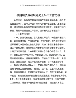 县自然资源和规划局上半年工作总结