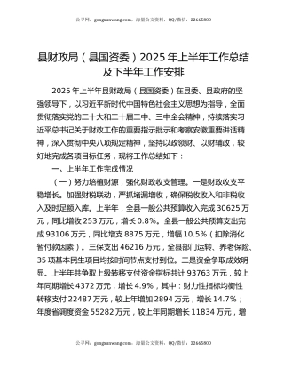 县财政局（县国资委）2025年上半年工作总结及下半年工作安排