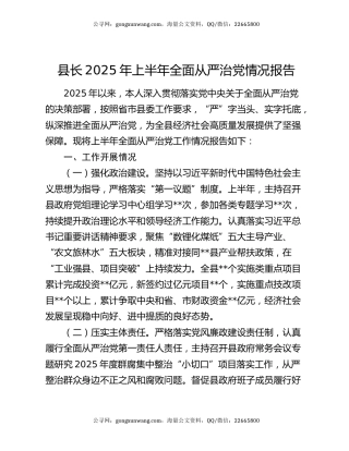 县长2025年上半年全面从严治党情况报告