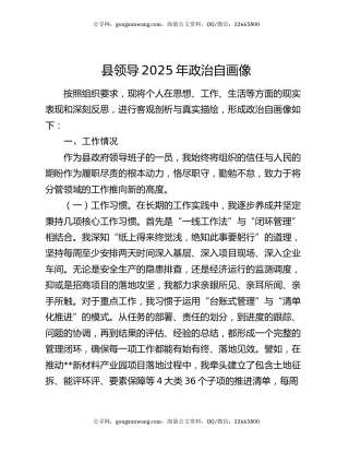 县领导2025年政治自画像