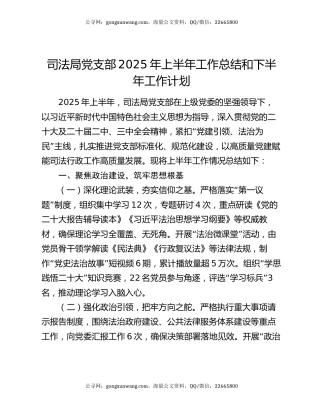 司法局党支部2025年上半年工作总结和下半年工作计划