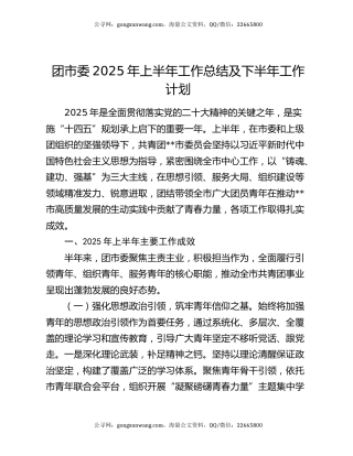 团市委2025年上半年工作总结及下半年工作计划
