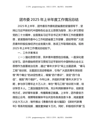 团市委2025年上半年度工作情况总结