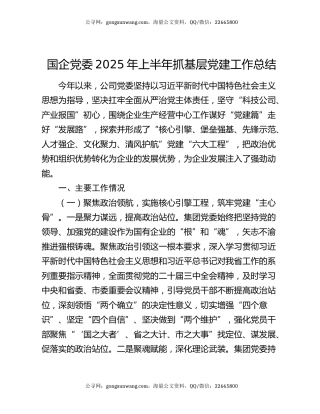 国企党委2025年上半年抓基层党建工作总结
