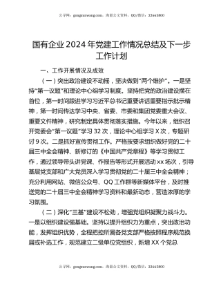 国有企业2024年党建工作情况总结及下一步工作计划（2）