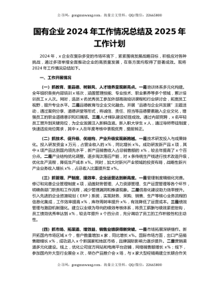 国有企业2024年工作情况总结及2025年工作计划