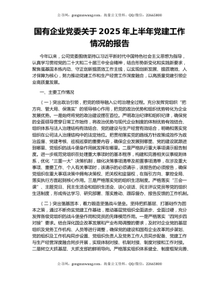国有企业党委关于2025年上半年党建工作情况的报告