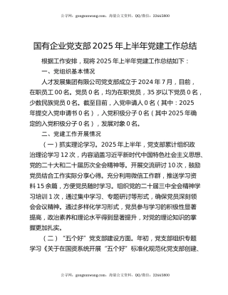 国有企业党支部2025年上半年党建工作总结