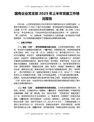 国有企业党支部2025年上半年党建工作情况报告
