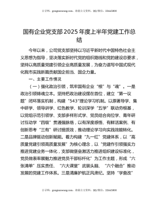国有企业党支部2025年度上半年党建工作总结