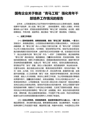 国有企业关于推进“青马工程”强化青年干部培养工作情况的报告