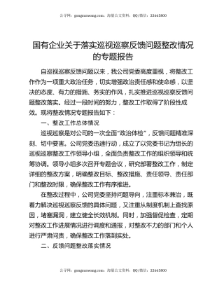 国有企业关于落实巡视巡察反馈问题整改情况的专题报告