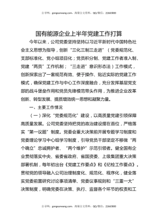 国有能源企业上半年党建工作打算