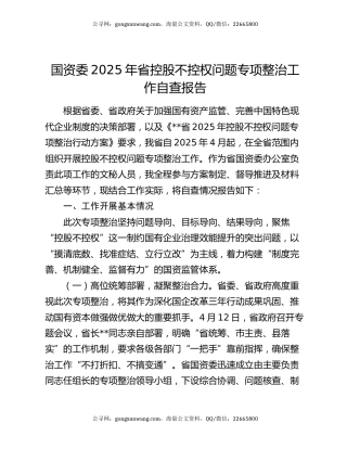 国资委2025年省控股不控权问题专项整治工作自查报告