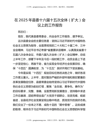 在2025年县委十六届十五次全体（扩大）会议上的工作报告