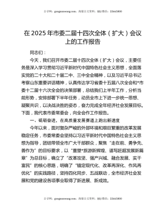 在2025年市委二届十四次全体（扩大）会议上的工作报告