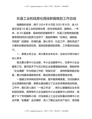 在县工业和信息化局挂职锻炼的工作总结