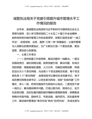城管执法局关于党建引领提升城市管理水平工作情况的报告
