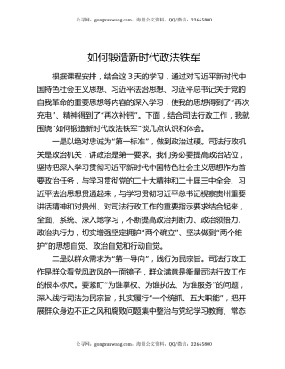 如何锻造新时代政法铁军