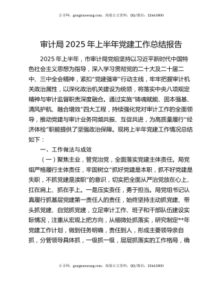 审计局2025年上半年党建工作总结报告