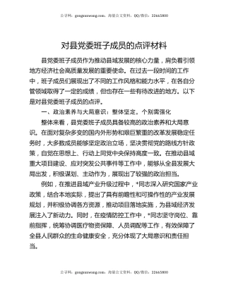 对县党委班子成员的点评材料