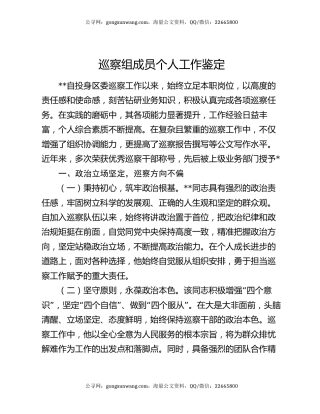 巡察组成员个人工作鉴定