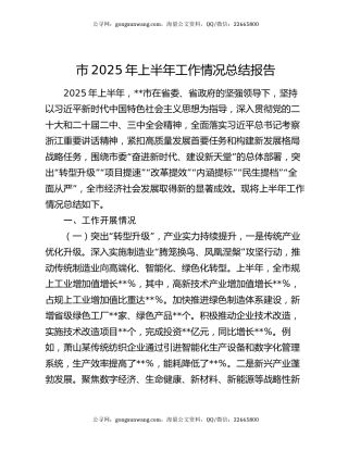 市2025年上半年工作情况总结报告