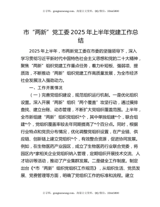 市“两新”党工委2025年上半年党建工作总结