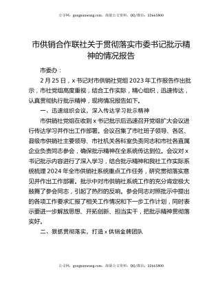 市供销合作联社关于贯彻落实市委书记批示精神的情况报告