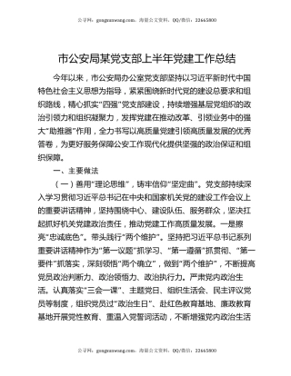 市公安局某党支部上半年党建工作总结