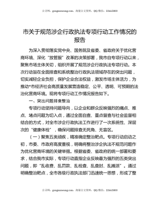 市关于规范涉企行政执法专项行动工作情况的报告