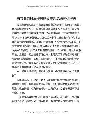 市农业农村局作风建设专题总结评估报告