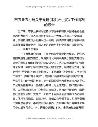 市农业农村局关于党建引领乡村振兴工作情况的报告