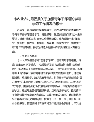 市农业农村局团委关于加强青年干部理论学习学习工作情况的报告