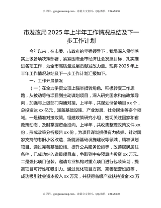 市发改局2025年上半年工作情况总结及下一步工作计划