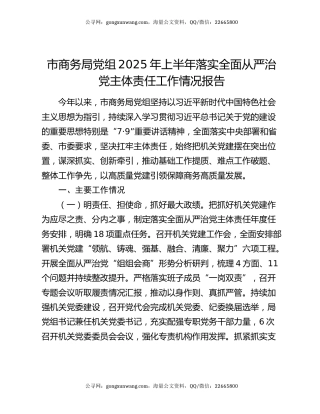 市商务局党组2025年上半年落实全面从严治党主体责任工作情况报告