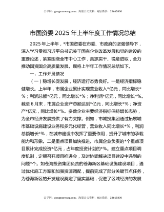 市国资委2025年上半年度工作情况总结